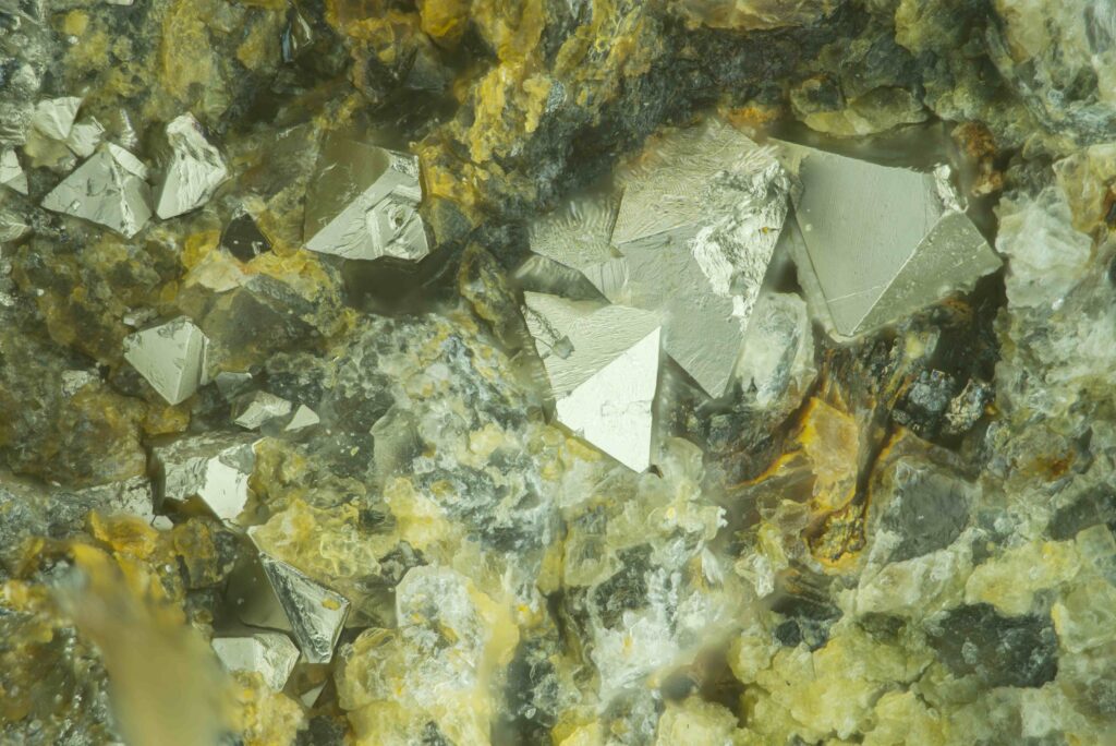 Micromounter Tauschtag 25.02.2024