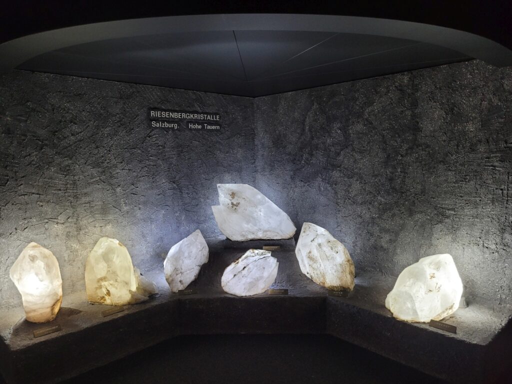 Salzburg: Haus der Natur und Sammlungen Hofer Tagesexkursion 02.08.2025